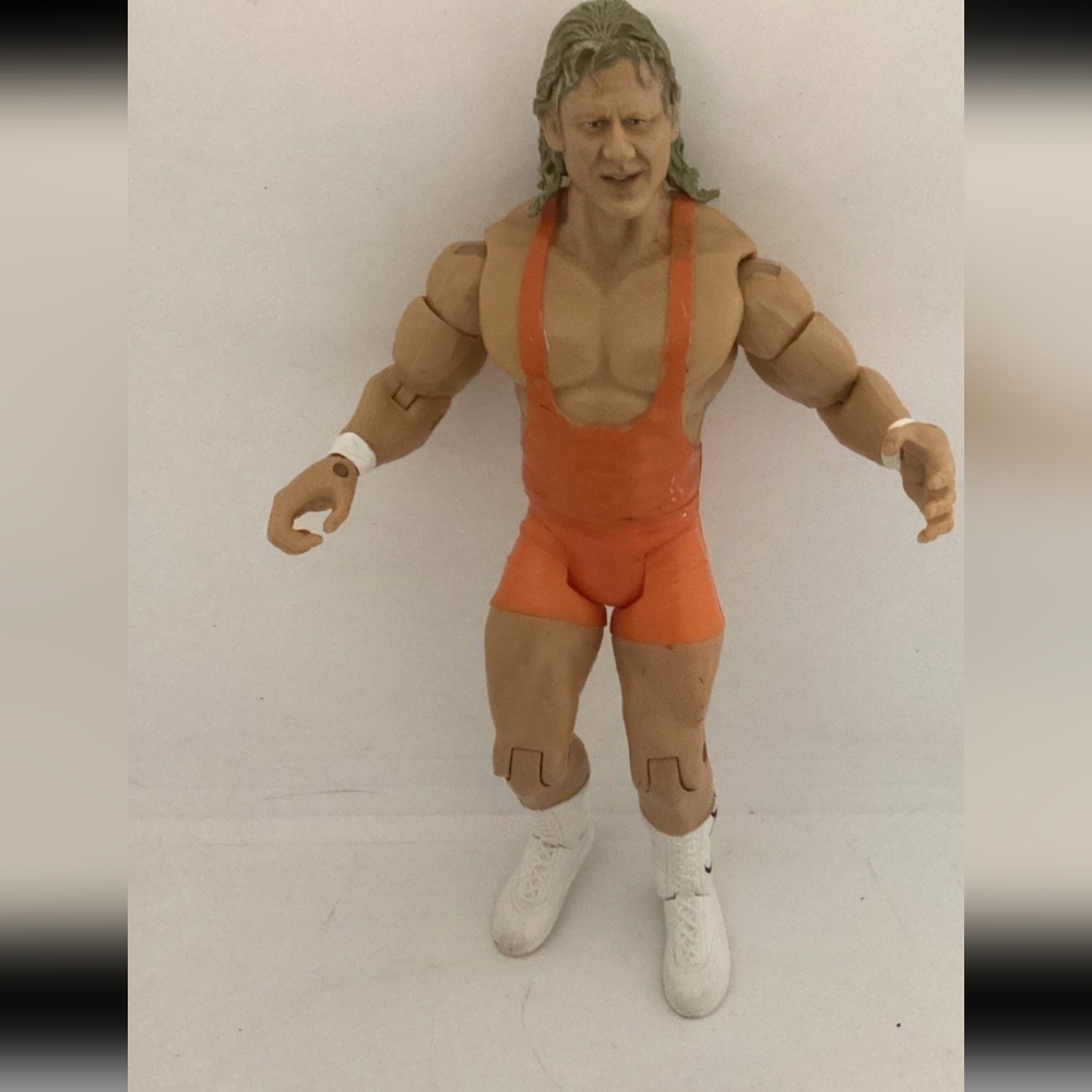 2003 WWF WWE Jakks Mr Perfect Curt Hennig Classic Wrestling Figure Series 10